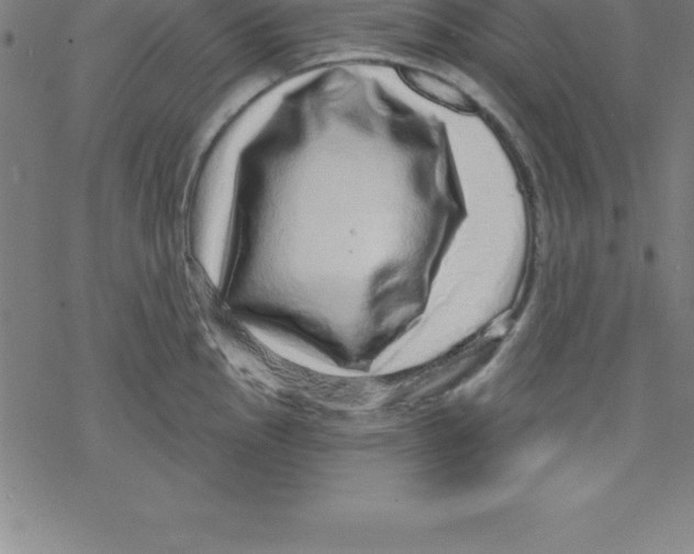 X0000078251145200612011623