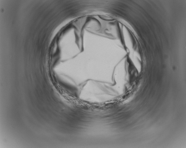X0000078251149200612011623
