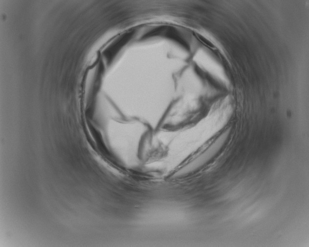 X0000078251151200612011623