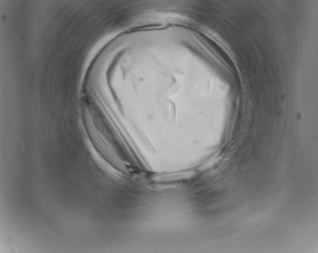 X0000078251152200612011623