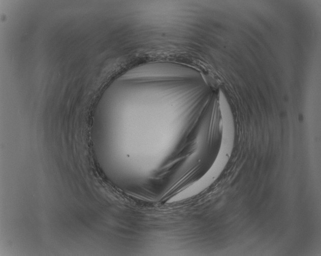 X0000078251153200612011622
