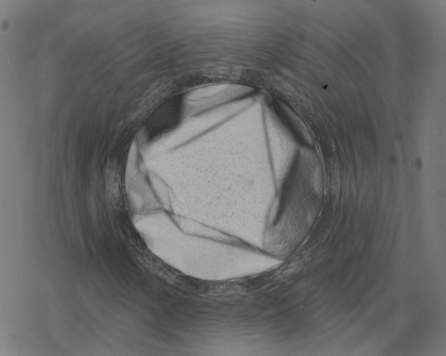 X0000078251154200612011622