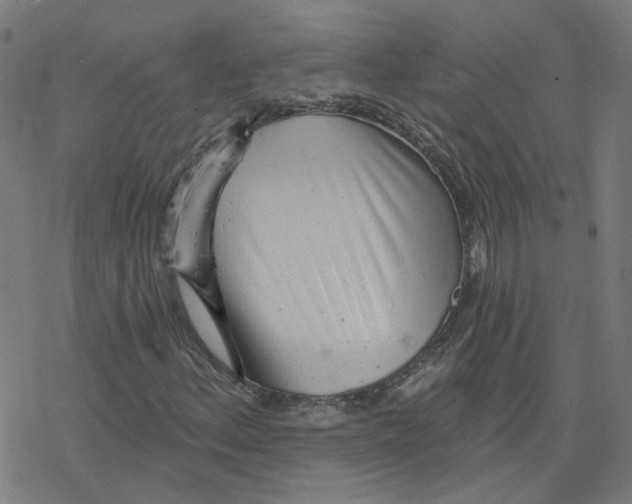 X0000078251156200612011622