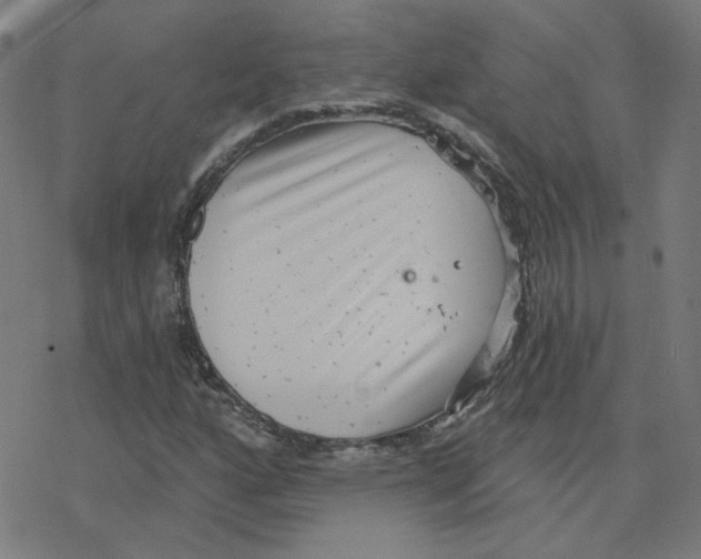 X0000078251160200612011622