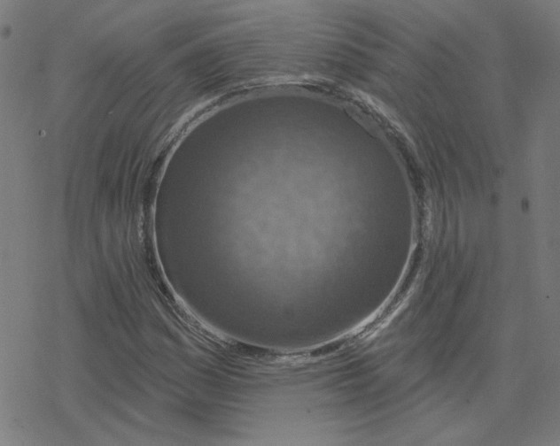 X0000078251161200612011622