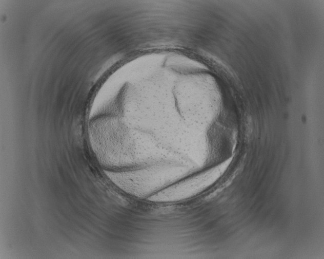 X0000078251162200612011622
