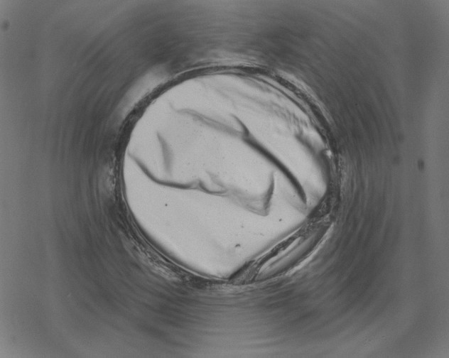 X0000078251163200612011622