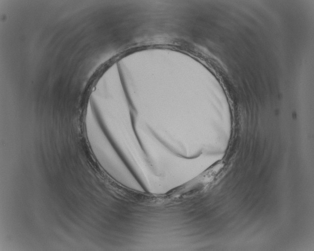 X0000078251166200612011622