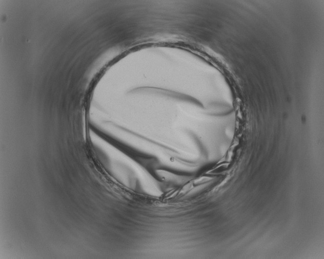X0000078251171200612011622