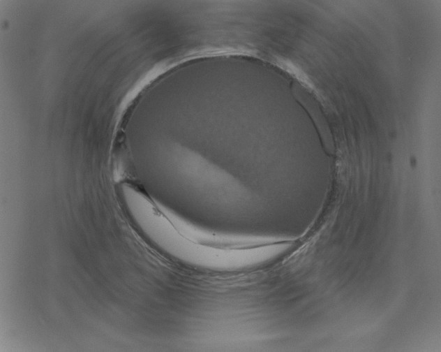 X0000078251173200612011622