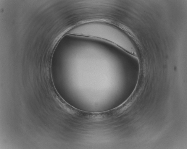 X0000078251177200612011622