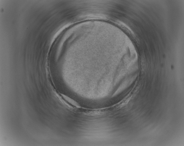 X0000078251182200612011622