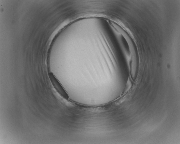 X0000078251189200612011622
