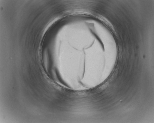 X0000078251190200612011622