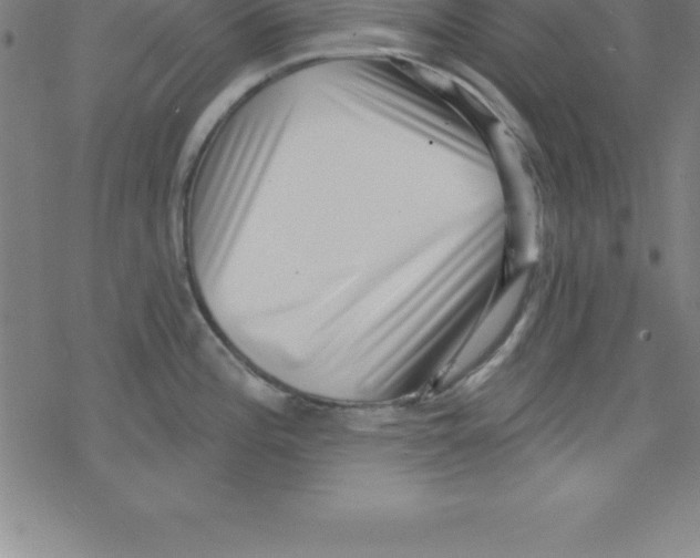 X0000078251196200612011622