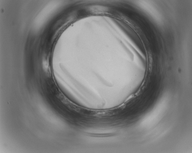 X0000078251198200612011622