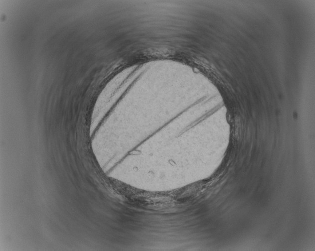 X0000078251201200612011621