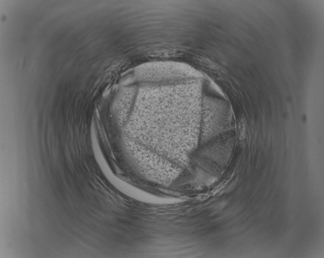X0000078251202200612011621
