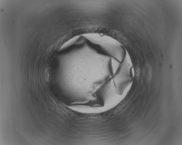 X0000078251204200612011621