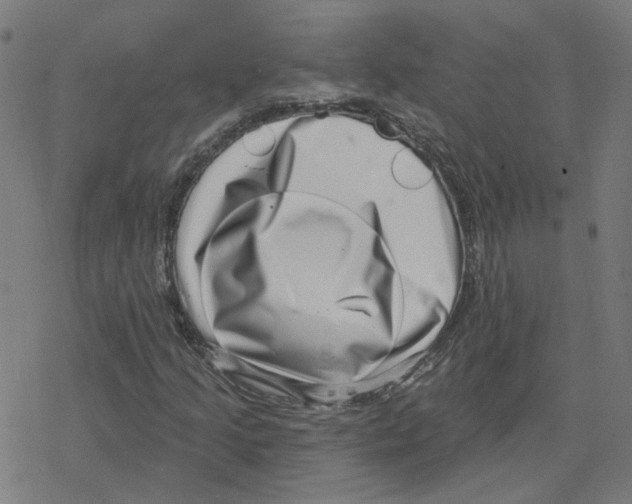 X0000078251205200612011621