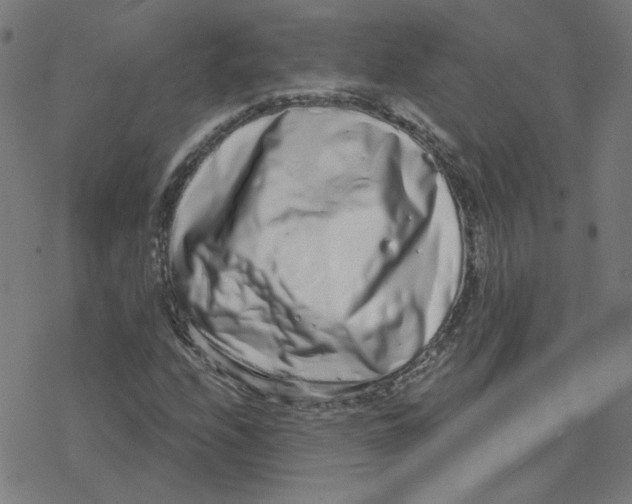 X0000078251208200612011621