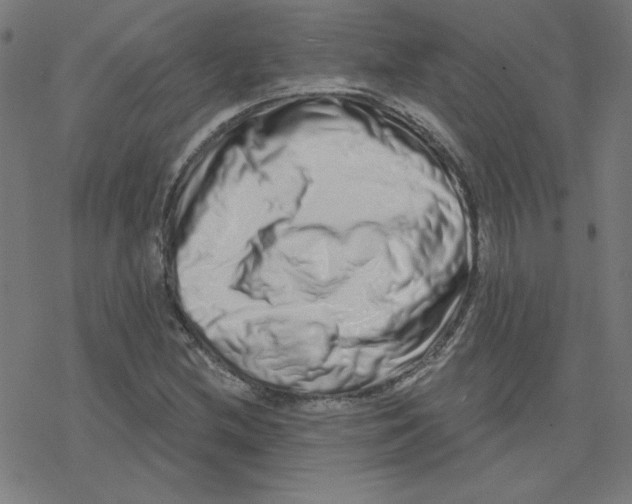 X0000078251212200612011621