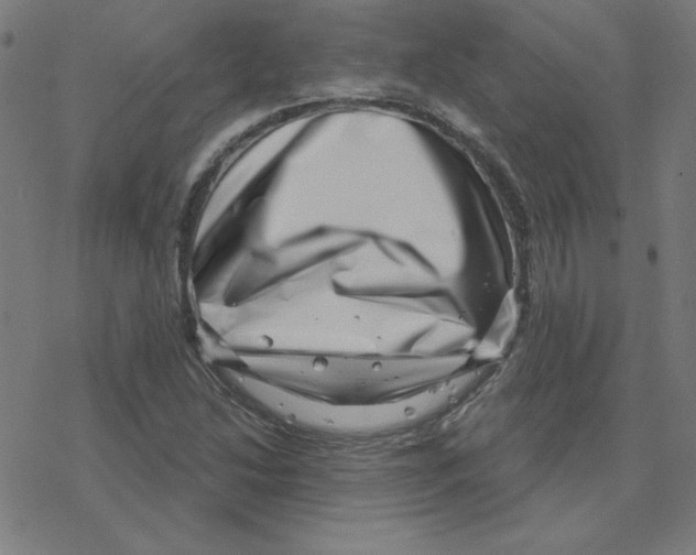 X0000078251214200612011621