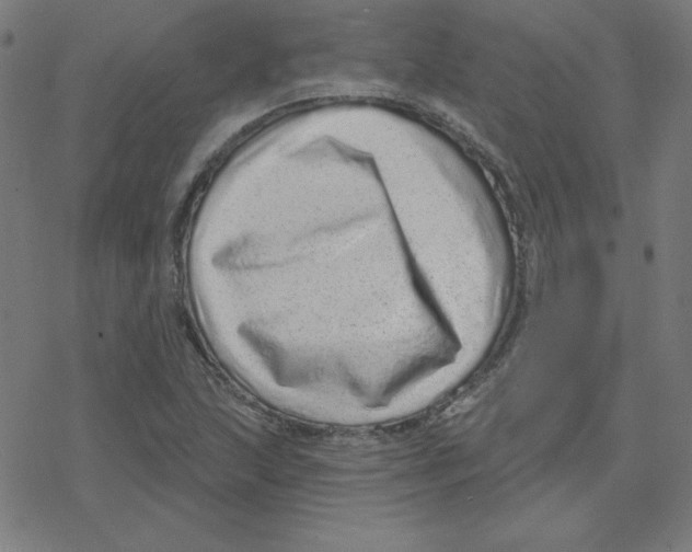 X0000078251215200612011621