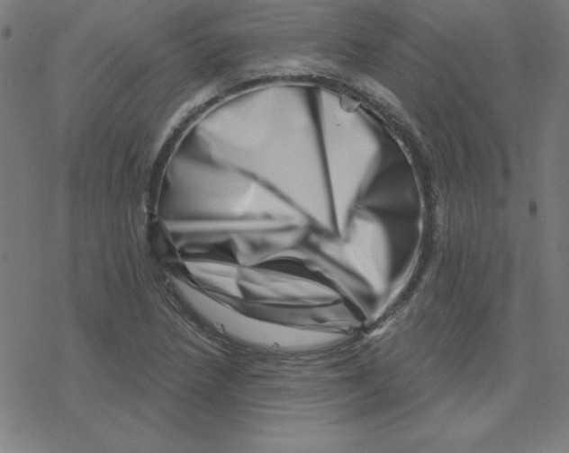 X0000078251218200612011621