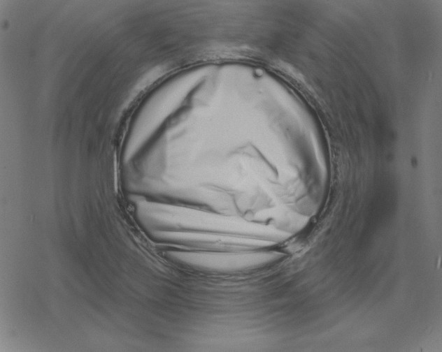 X0000078251219200612011621