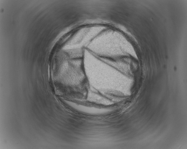 X0000078251221200612011621