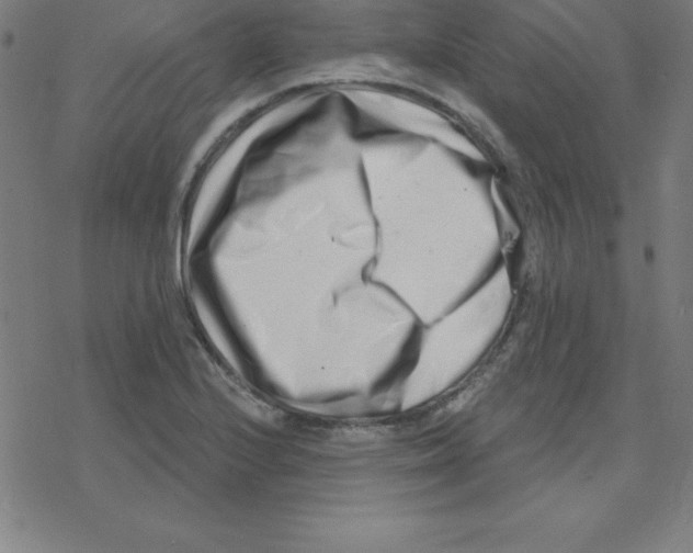 X0000078251224200612011621