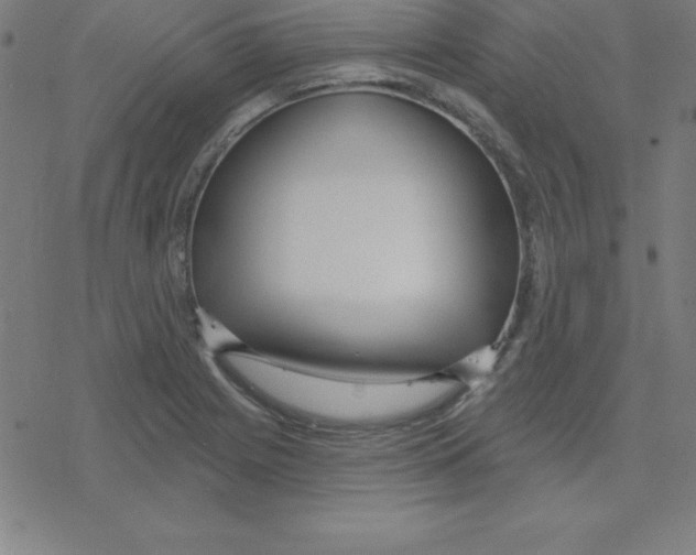 X0000078251225200612011621