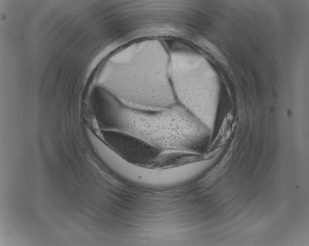 X0000078251226200612011621