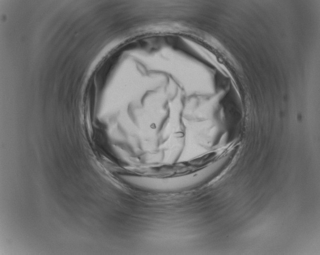 X0000078251232200612011621