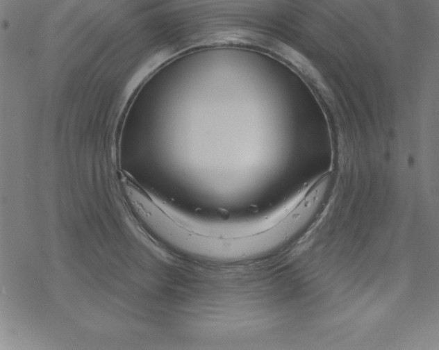 X0000078251234200612011621