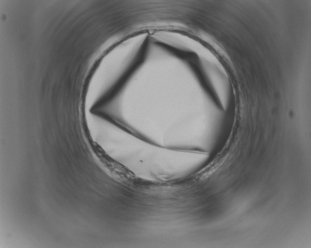 X0000078251237200612011621
