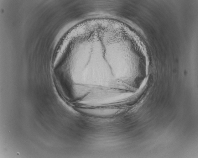 X0000078251239200612011621