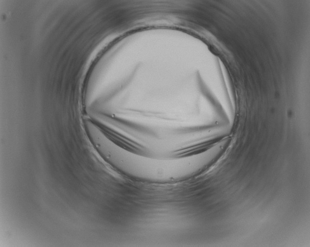 X0000078251240200612011621