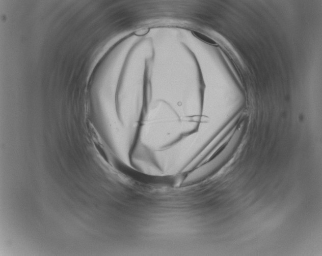 X0000078251244200612011621