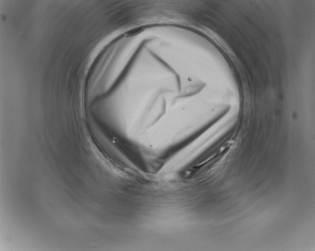 X0000078251246200612011622