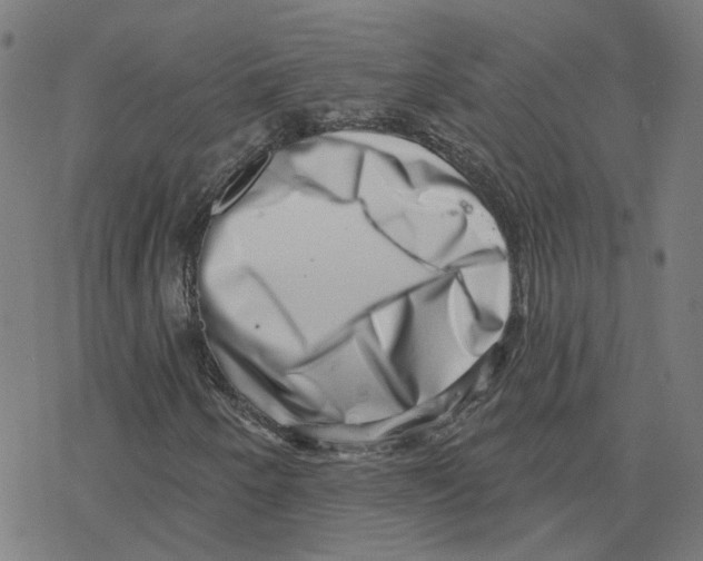 X0000078251250200612011621