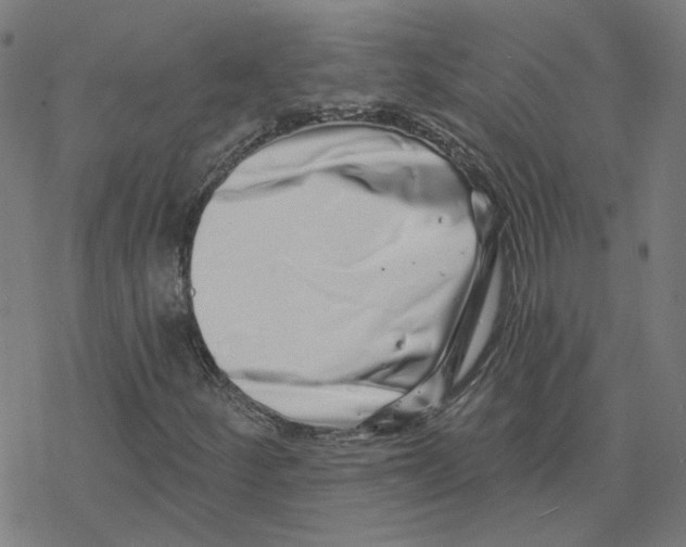 X0000078251252200612011621