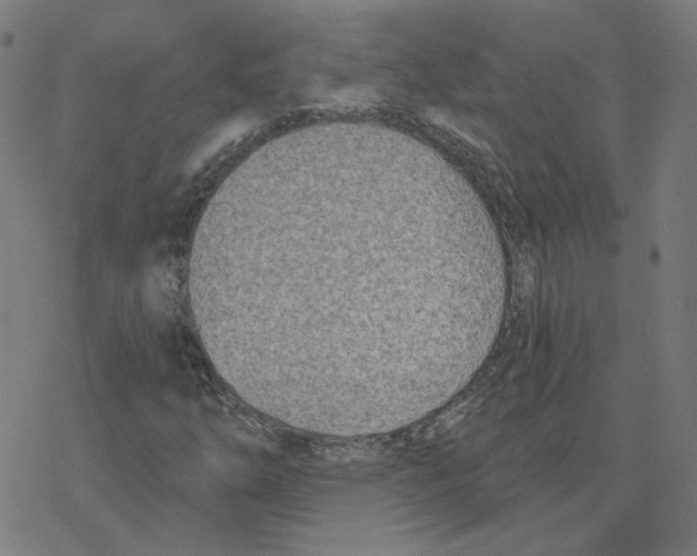 X0000078251254200612011621