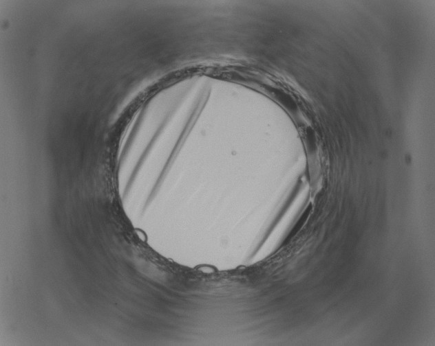 X0000078251256200612011621