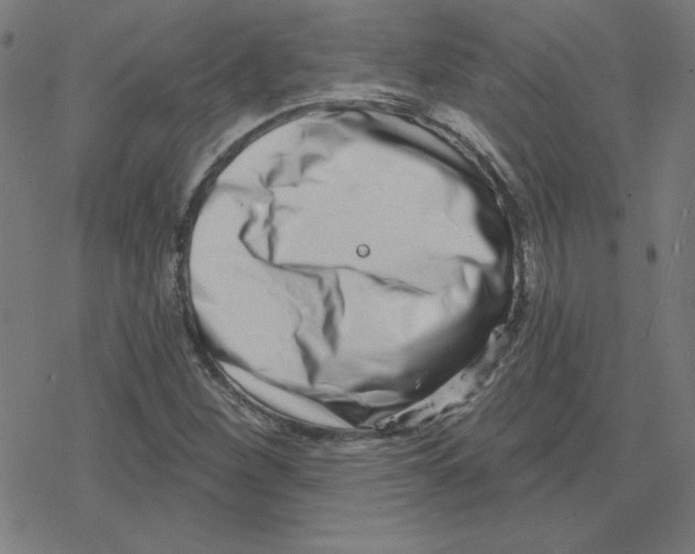 X0000078251260200612011621