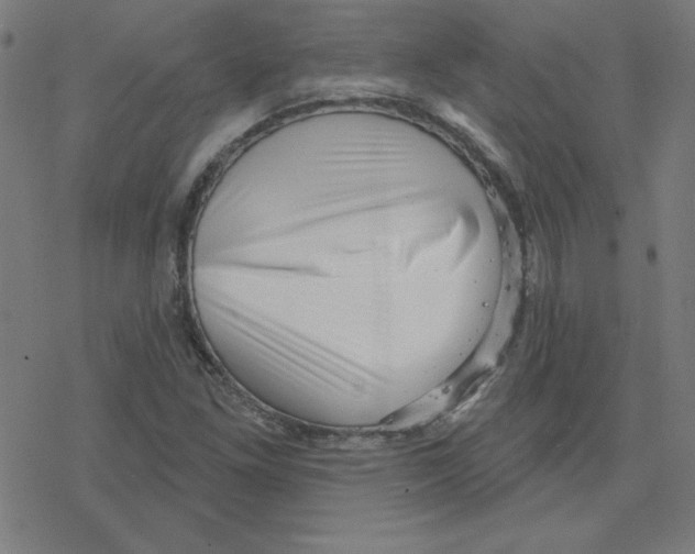 X0000078251261200612011621