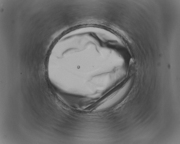 X0000078251264200612011621