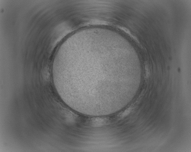X0000078251266200612011620