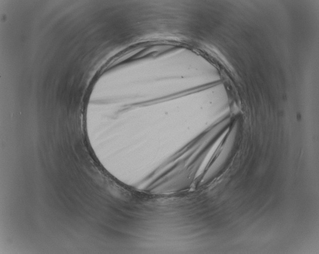 X0000078251268200612011620